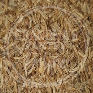 Caraway Seeds – Whole