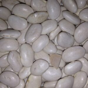 Cannellini Beans (Great Northern)