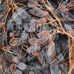Dried Muscatels on the Vine