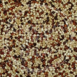 Tricolour Quinoa Grain