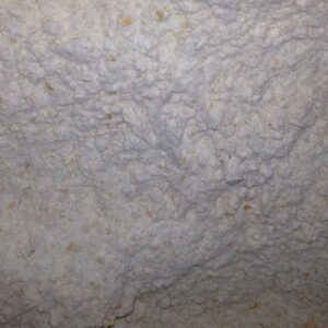 Wholemeal Bakers Flour