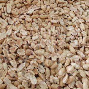 Dry Roasted Salted Peanuts